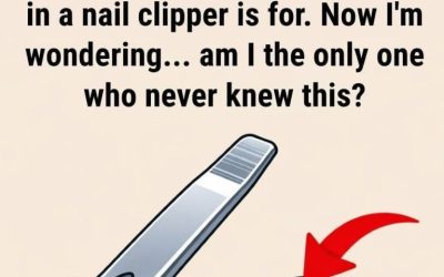 Ever Noticed That Tiny Hole on Your Nail Clipper? Here’s What It’s Actually For