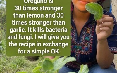 Oregano is 30 times stronger than lemon and 30 times stronger than garlic. It kills bacteria and fungi. I’ll give you the recipe in exchange for a simple OK.