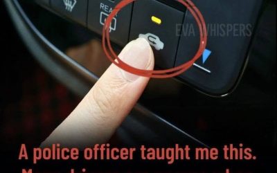 The Dashboard Button Most Drivers Ignore—And Why It Actually Matters