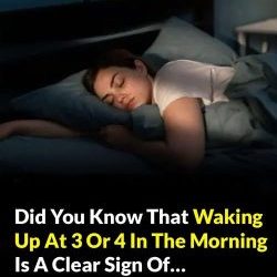 Did you know that waking up at 3 or 4 in the morning is a clear sign of…see more..