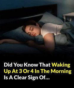Did you know that waking up at 3 or 4 in the morning is a clear sign of…see more..